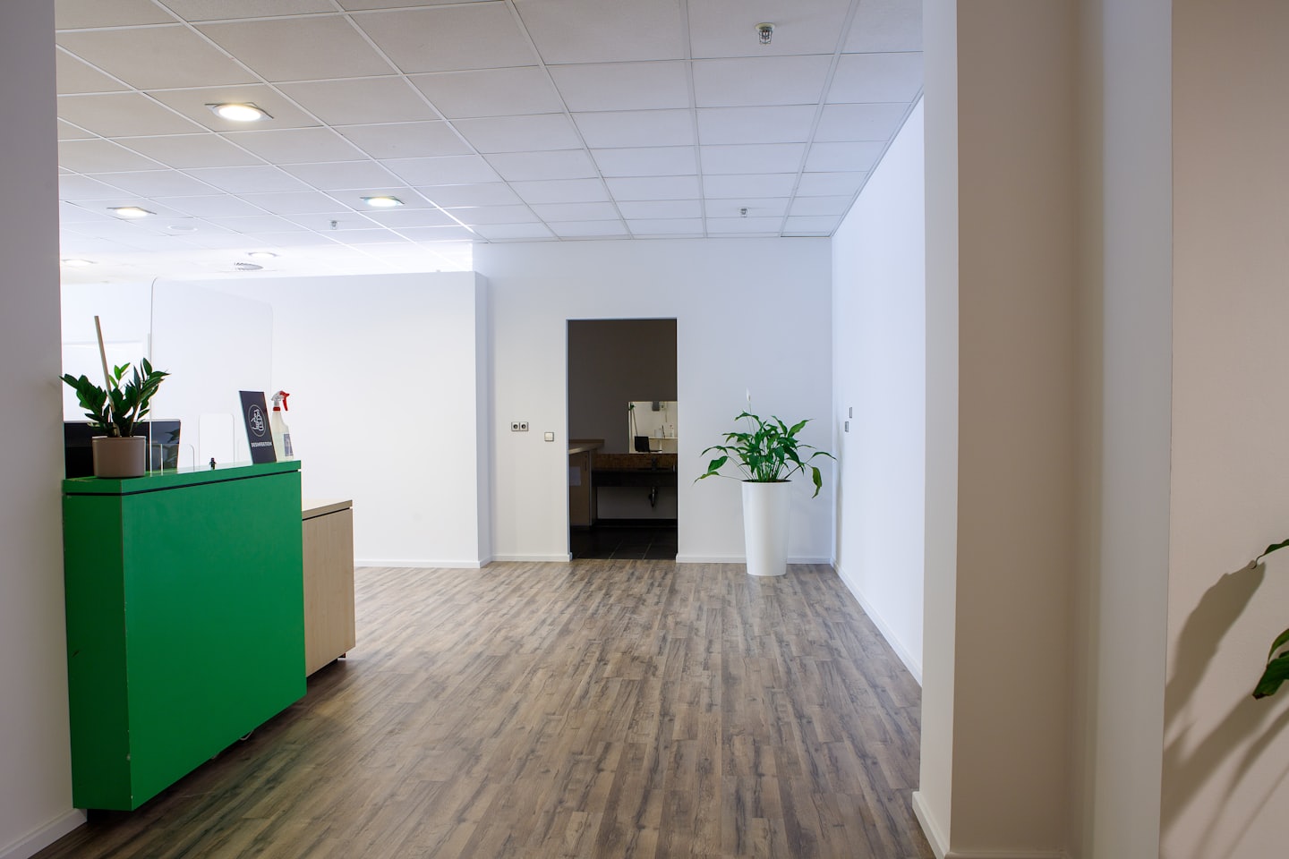 Moderne Bürolobby mit grünem Empfangstresen und Pflanzen.